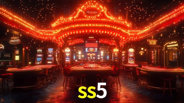 Premium Interface ss5